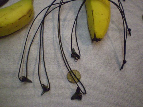 Shark tooth necklaces on black cords.
